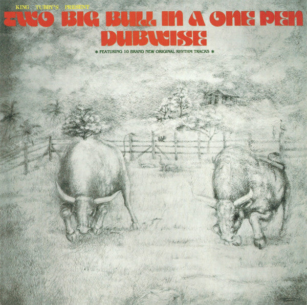 Two Big Bull In A One Pen Dubwise