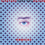 Ende Neu (Remixes)