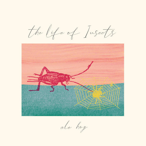 The Life Of Insects