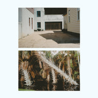 The Vestige