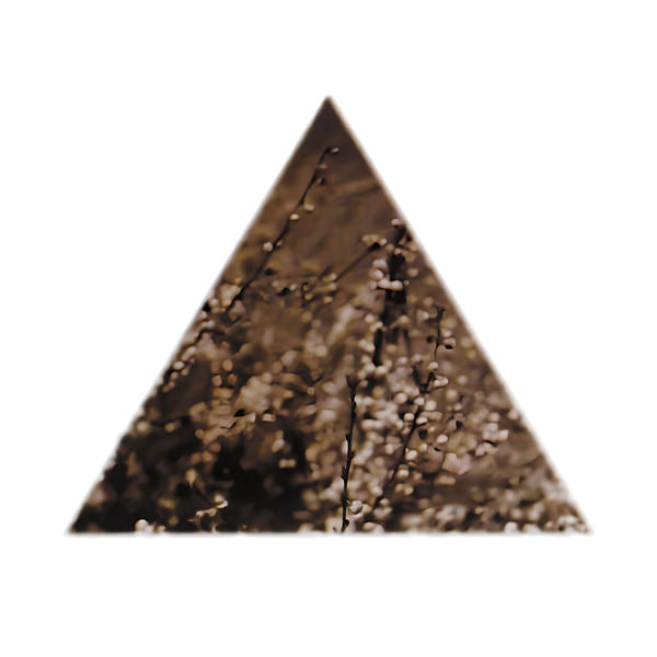 Soil - 30th Anniversary Edition