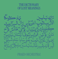 The Dictionary Of Lost Meaning