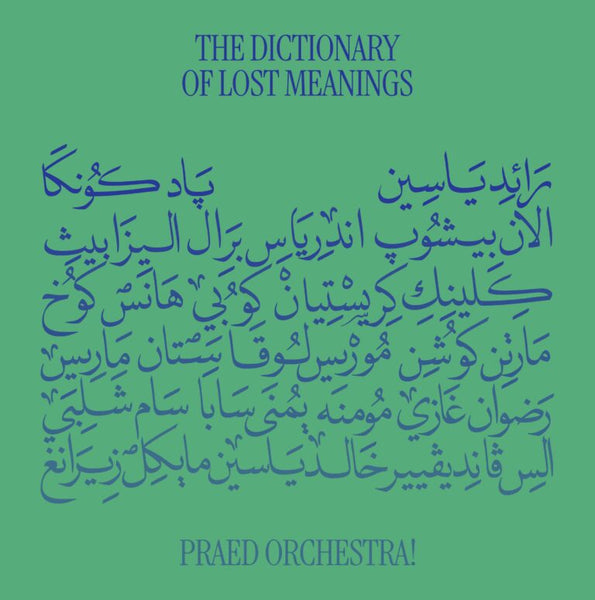 The Dictionary Of Lost Meaning