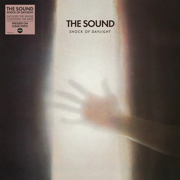 Shock Of Daylight