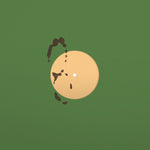 ex_libris 001