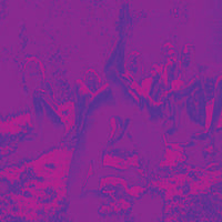Acid Guru Pond