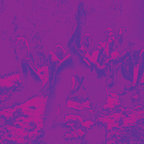 Acid Guru Pond