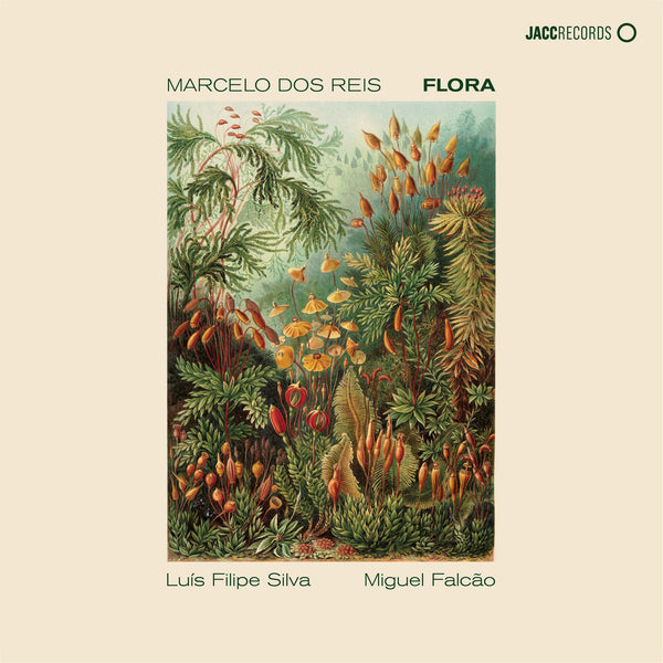 Flora