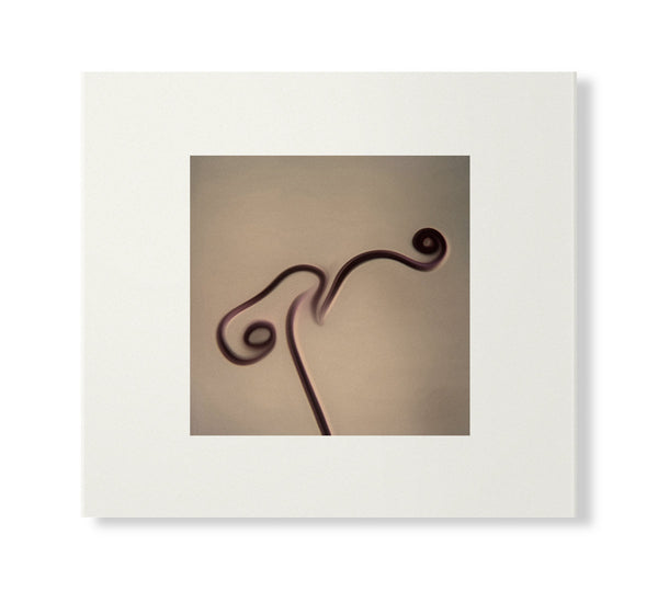 Image 1983-1998 (Skintone Edition)