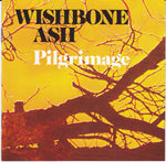 Pilgrimage