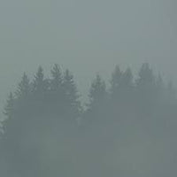 Donnerwetter