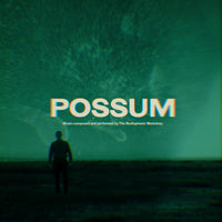 Possum