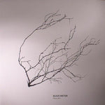 Branches