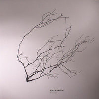 Branches