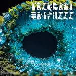 Primary Forest 03