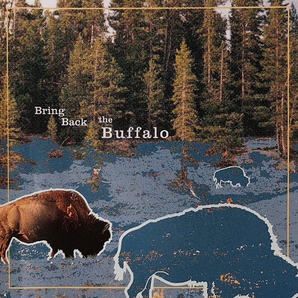 Bring Back the Buffalo