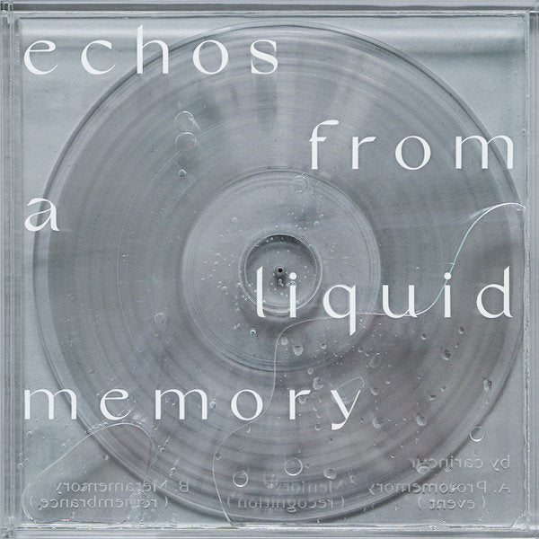 Echos from a Liquid Memory