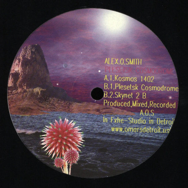 Plesetsk Cosmodrome [12"]