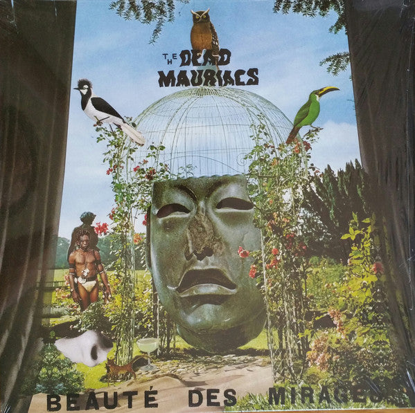 Beauté Des Mirages