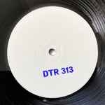 DTR 313