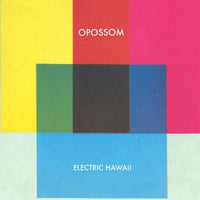 Electric Hawaii