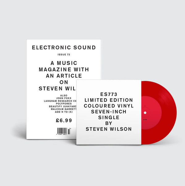 Electronic Sound  issue 73 (Steven Wilson)
