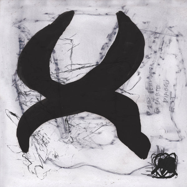 omnis festinatio ex parte diaboli