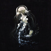 Água-Má