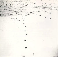 Folds And Rhizomes For Gilles Deleuze