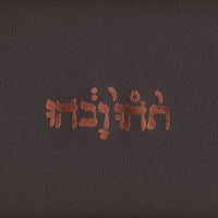 Slow Riot For New Zero Kanada E.P.