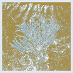 For Those Of You Who Have Never - 2025 repress
