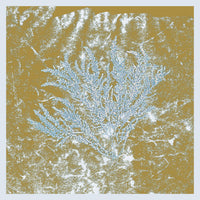 For Those Of You Who Have Never - 2025 repress
