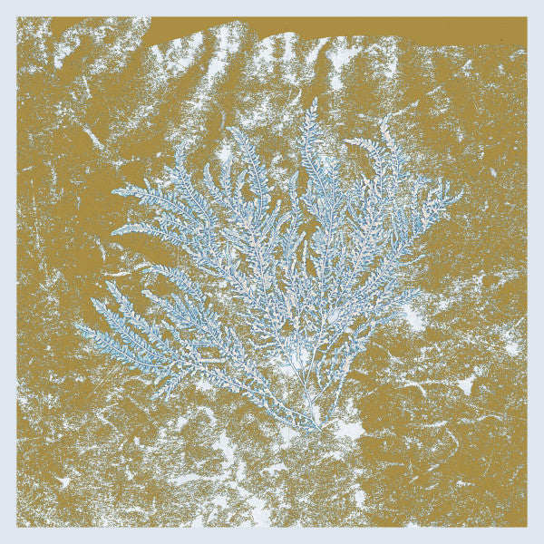 For Those Of You Who Have Never - 2025 repress