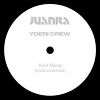 Acid Moog