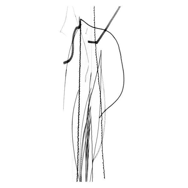 Strings