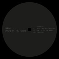 Nature Of The Future