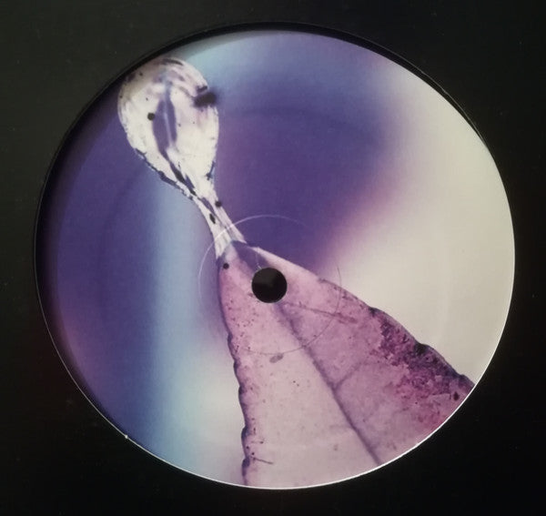 Psychotic Photosynthesis