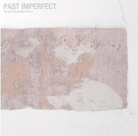 Past Imperfect: The Best Of Tindersticks 92-21