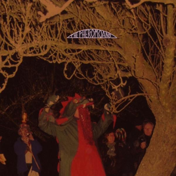 Does This Guy Stack Up?