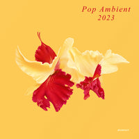 Pop Ambient 2023