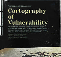 Cartography of Vulnerability
