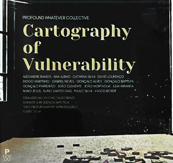 Cartography of Vulnerability