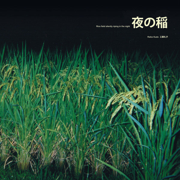 Rice Field Silently Riping In The Night