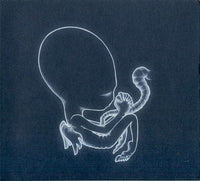 Agaetis Byrjun
