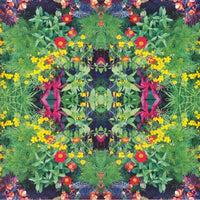 Kaleidoscope, New Spirits Known & Unknwon