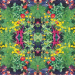 Kaleidoscope, New Spirits Known & Unknwon
