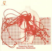 Electronic Meditation