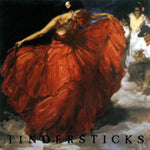 The First Tindersticks Album