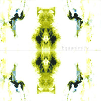 Equanimity