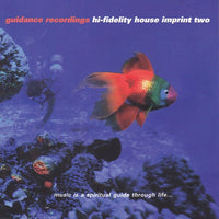 Hi-Fidelity House Imprint Two